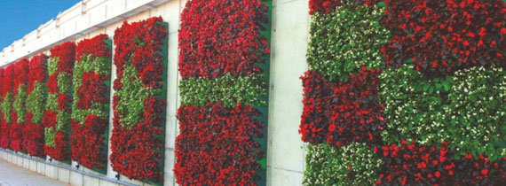 GREEN WALL (WALL GARDEN)